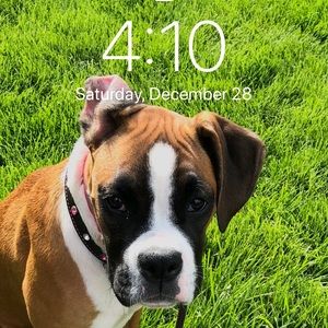 Meet your Posher, Jenna